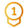 Feature Icon