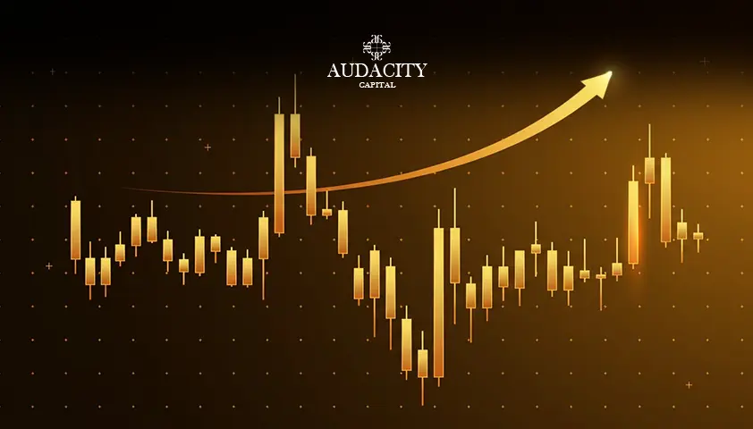 Social Trading Platforms: What Are They