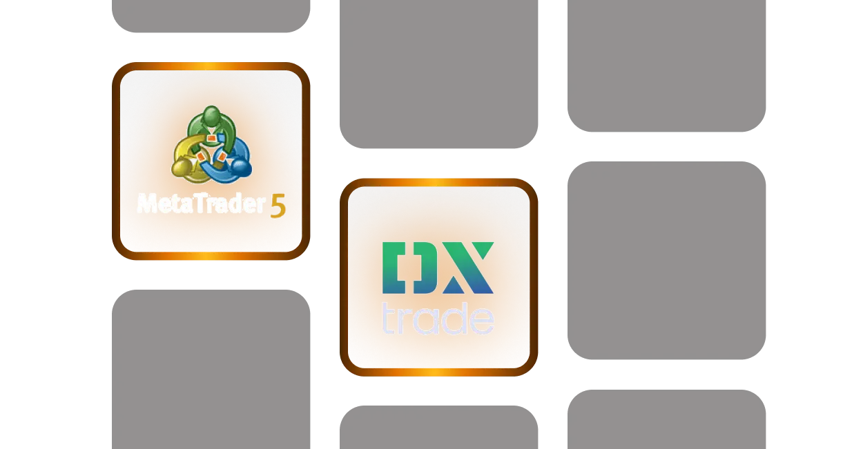 Explore Our Platforms